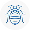 Bed Bug Extermination In Chepstow